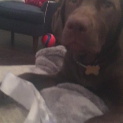 Watch Sarah Hyland's leaked NSFW video on TwXstars