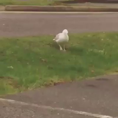 Watch Antje Utgaard's leaked NSFW video on TwXstars