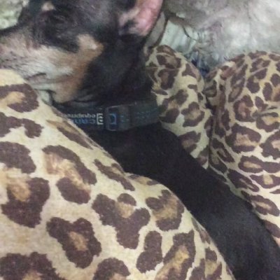 Watch purr 🐀🔜 EVO‼️'s leaked NSFW video on TwXstars