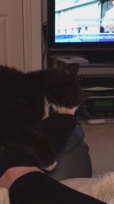 Watch Rachael C │ FREE OF 🩵's leaked NSFW video on TwXstars