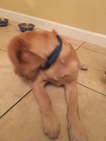 Watch Janexy's leaked NSFW video on TwXstars