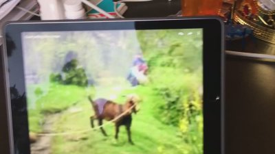 Watch Rick and Morty's leaked NSFW video on TwXstars