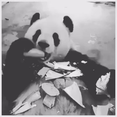 Watch Larenz Tate's leaked NSFW video on TwXstars