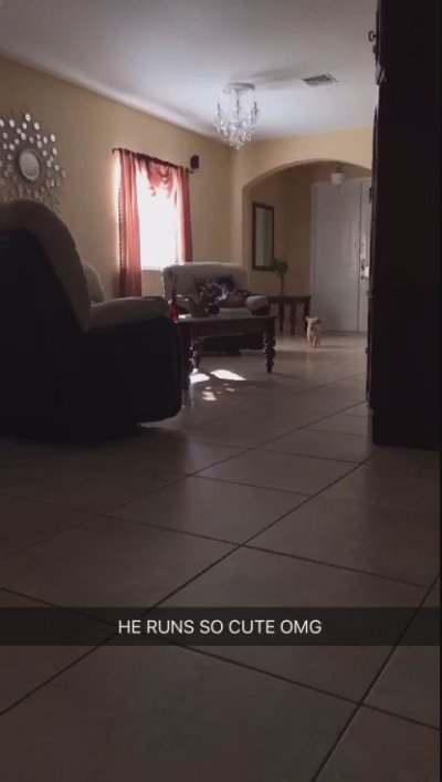 Watch Janexy's leaked NSFW video on TwXstars