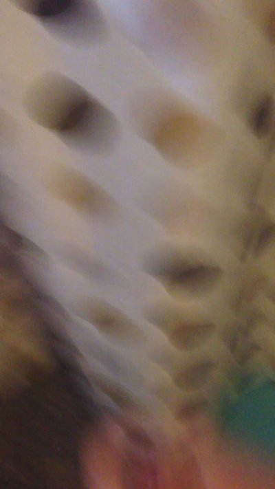 Watch SeednBreed's leaked NSFW video on TwXstars