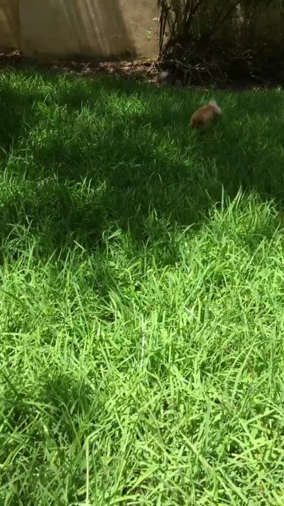 Watch Jisel's leaked NSFW video on TwXstars