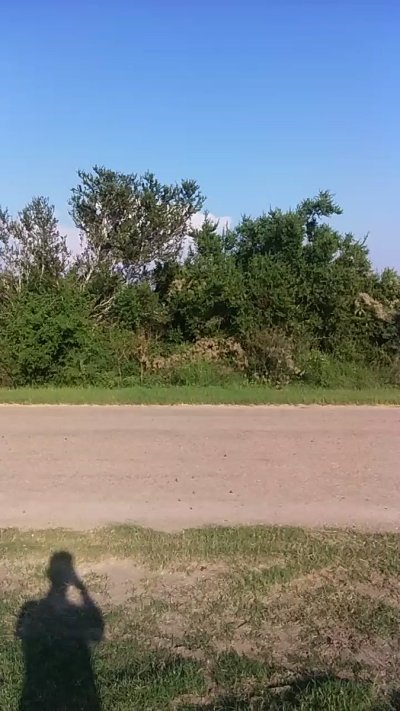 Watch RckyDcky's leaked NSFW video on TwXstars