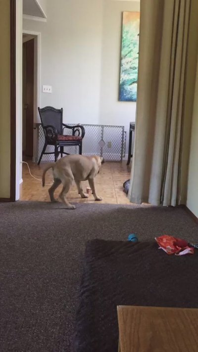 Watch Amberleigh West's leaked NSFW video on TwXstars