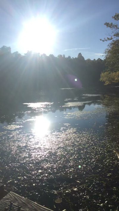 Watch indica flower 🤍✨'s leaked NSFW video on TwXstars