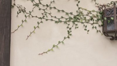 Watch Jason MMRRRaz's leaked NSFW video on TwXstars