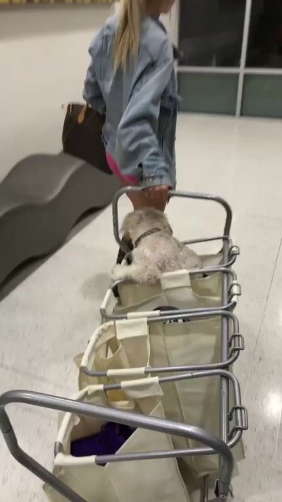 Watch Lindsey Pelas's leaked NSFW video on TwXstars