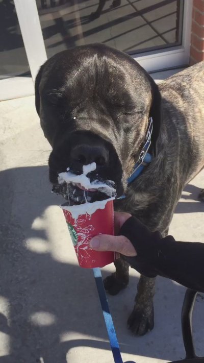 Watch Samantha Rone's leaked NSFW video on TwXstars