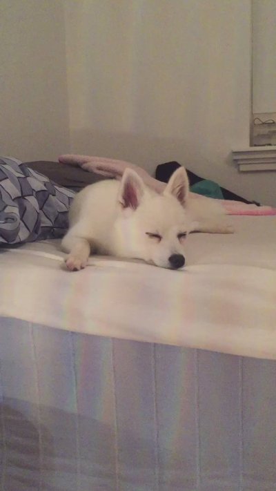 Watch Adeline Frost ✧'s leaked NSFW video on TwXstars