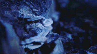 Watch ✨Jessica✨'s leaked NSFW video on TwXstars