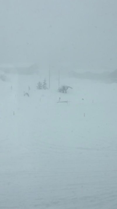 Watch VividVivka 💜's leaked NSFW video on TwXstars