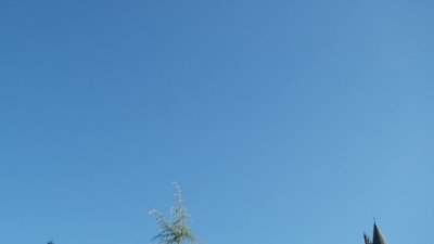 Watch VividVivka 💜's leaked NSFW video on TwXstars