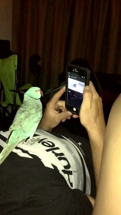 Watch Diddly's leaked NSFW video on TwXstars