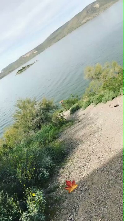 Watch Elmer.'s leaked NSFW video on TwXstars