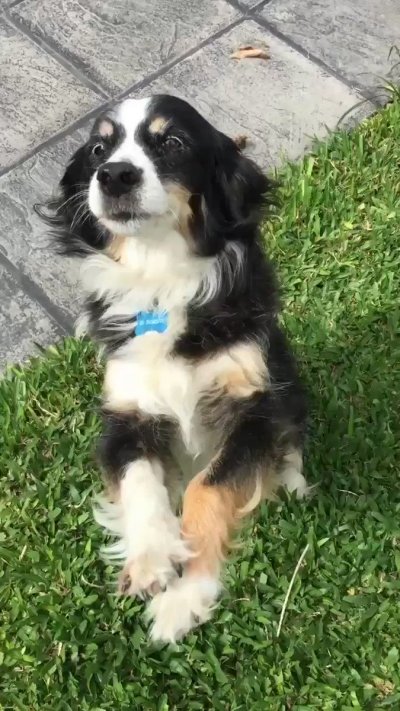 Watch Silvina Escudero's leaked NSFW video on TwXstars