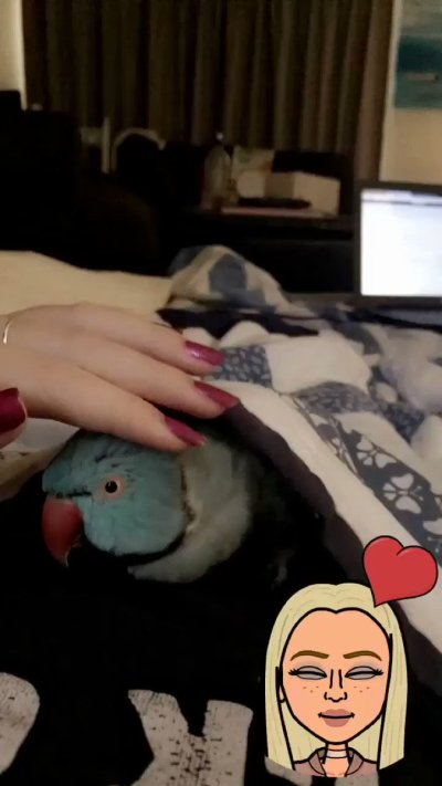 Watch Diddly's leaked NSFW video on TwXstars