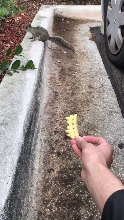 Watch kyk's leaked NSFW video on TwXstars