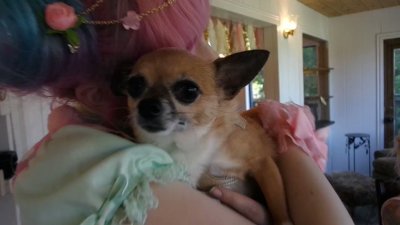 Watch VividVivka 💜's leaked NSFW video on TwXstars