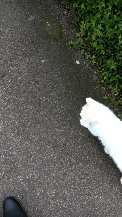 Watch sachin's leaked NSFW video on TwXstars