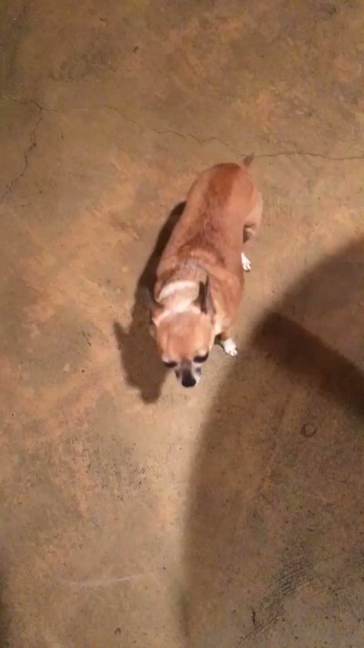 Watch VividVivka 💜's leaked NSFW video on TwXstars