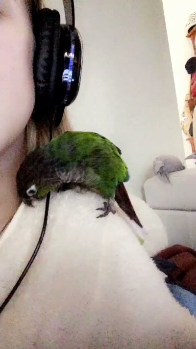 Watch Diddly's leaked NSFW video on TwXstars