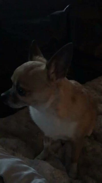 Watch VividVivka 💜's leaked NSFW video on TwXstars