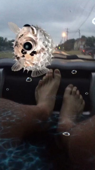 Watch RckyDcky's leaked NSFW video on TwXstars