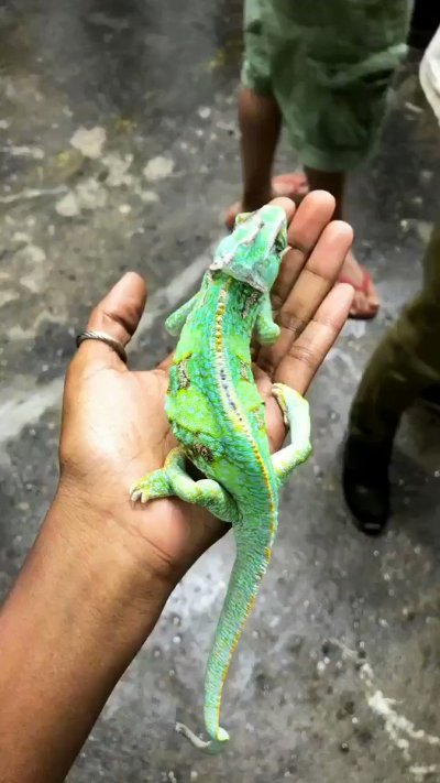 Watch D's leaked NSFW video on TwXstars