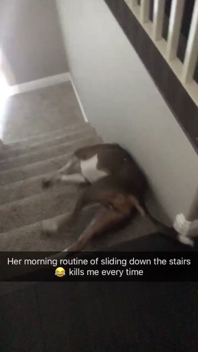 Watch dais's leaked NSFW video on TwXstars