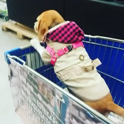 Watch EMILY ORTIZ's leaked NSFW video on TwXstars