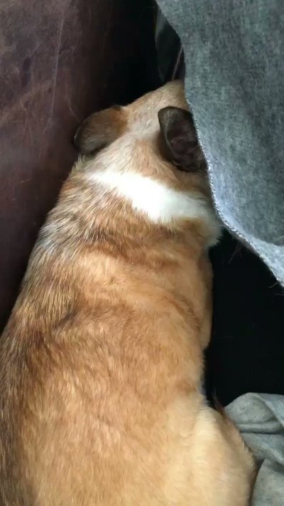 Watch VividVivka 💜's leaked NSFW video on TwXstars