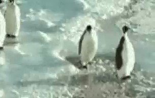 Watch GovetaXV🐉's leaked NSFW video on TwXstars