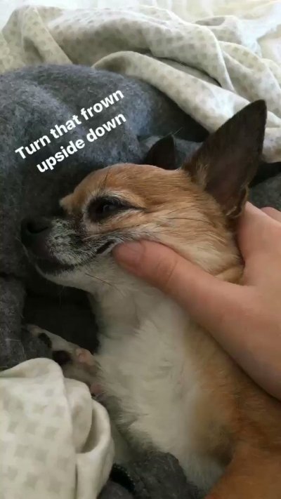 Watch VividVivka 💜's leaked NSFW video on TwXstars