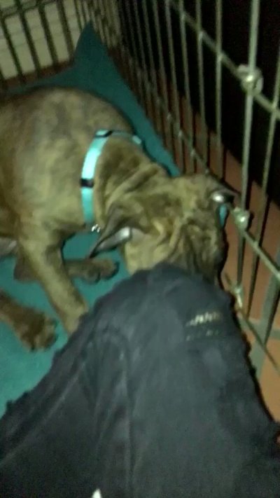 Watch Lil’Mogwai's leaked NSFW video on TwXstars