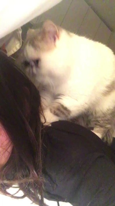 Watch 🍖 Harriet Sugarcookie 🍖's leaked NSFW video on TwXstars