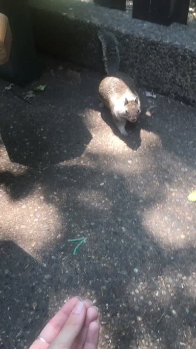 Watch mastiff's leaked NSFW video on TwXstars