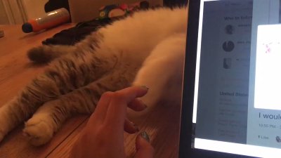 Watch 🍖 Harriet Sugarcookie 🍖's leaked NSFW video on TwXstars