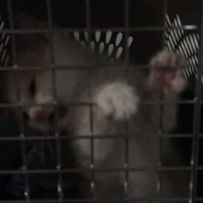 Watch brooke justice's leaked NSFW video on TwXstars