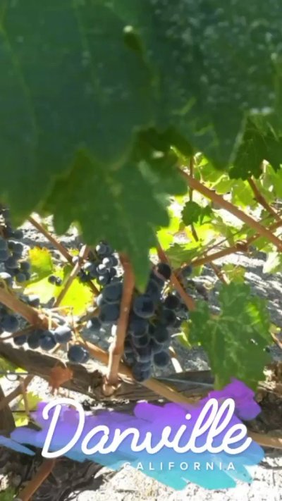 Watch Zaya Tha Flysta's leaked NSFW video on TwXstars