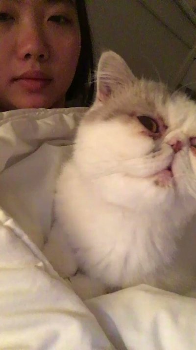 Watch 🍖 Harriet Sugarcookie 🍖's leaked NSFW video on TwXstars