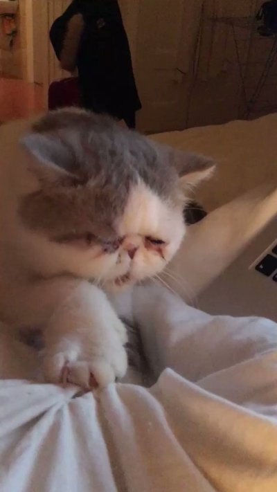 Watch 🍖 Harriet Sugarcookie 🍖's leaked NSFW video on TwXstars