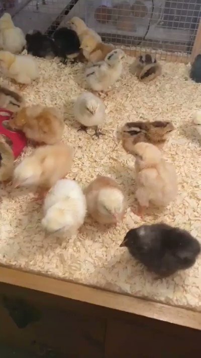 Watch julia_tv's leaked NSFW video on TwXstars