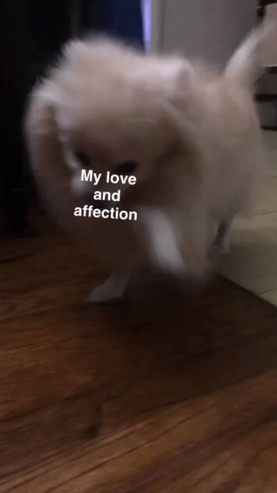 Watch Jek's leaked NSFW video on TwXstars