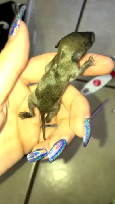 Watch Jada Stevens 🧃's leaked NSFW video on TwXstars