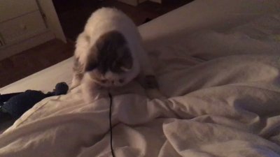 Watch 🍖 Harriet Sugarcookie 🍖's leaked NSFW video on TwXstars