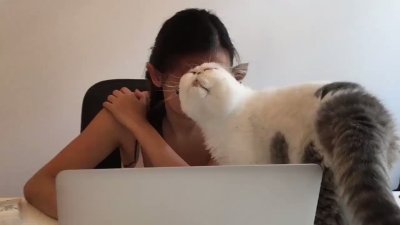 Watch 🍖 Harriet Sugarcookie 🍖's leaked NSFW video on TwXstars